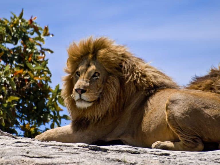 Want to be a great leader? Start here